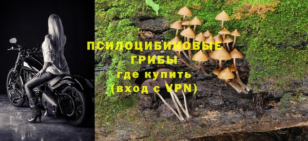 не бодяженный Армянск
